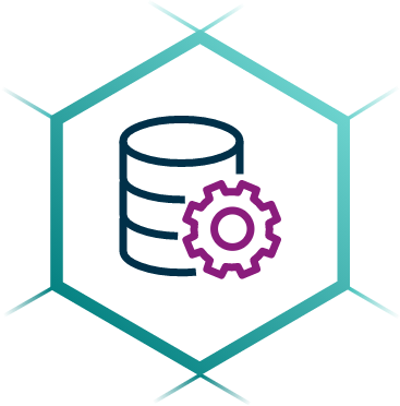 Icon representing a database and a cog
